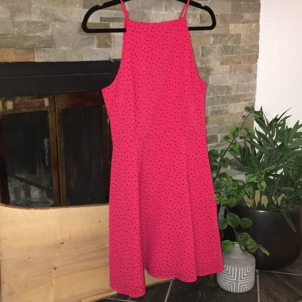 BB Dakota fit and flare dress NWOT
